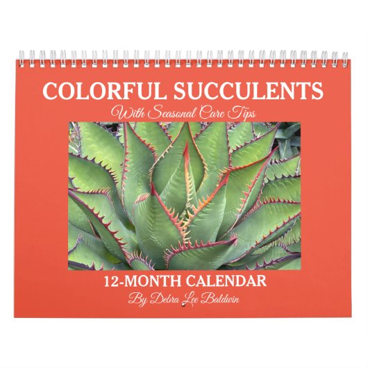 デブラリーボールドウィン暦 カレンダー (カバー)