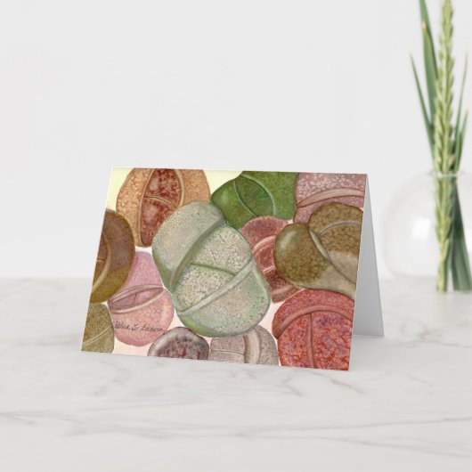 デブラリー・ボールドウィンのリトプス水彩画 カード (正面)