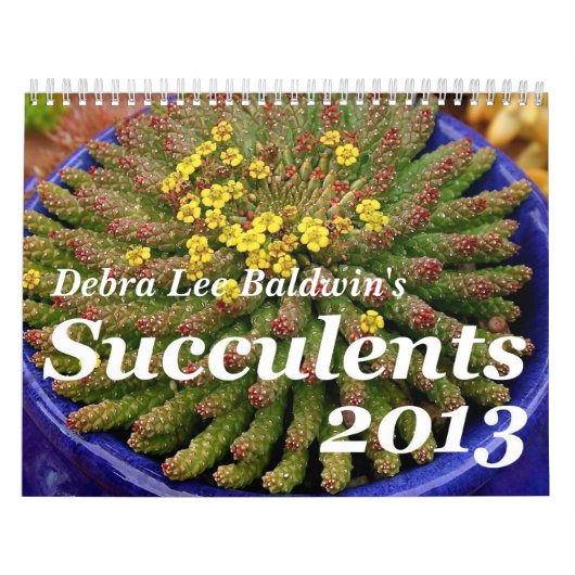 デブラリーBaldwinのSucculents 2013のカレンダー カレンダー (カバー)
