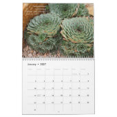 デブラリーBaldwinのSucculents 2013のカレンダー カレンダー (1月 2027)