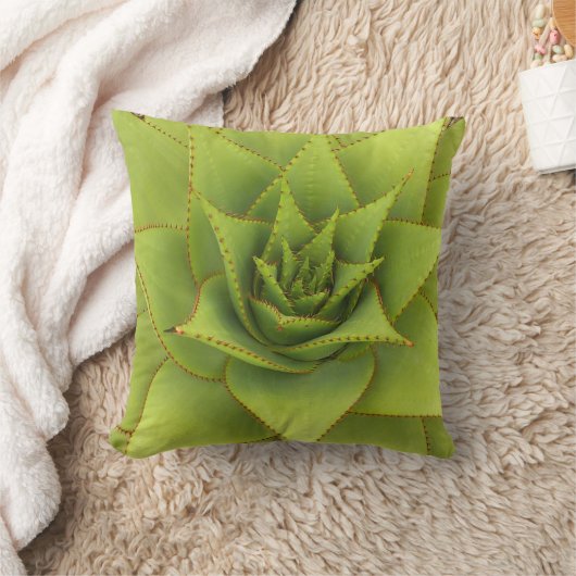 デブラリーBaldwin著アロエの枕 クッション (ブランケット)