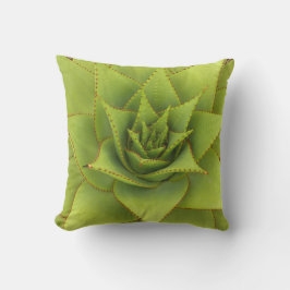 デブラリーBaldwin著アロエの枕 クッション