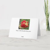 デブラリーBaldwin著サボテンのクリスマスカード シーズンカード (裏面)