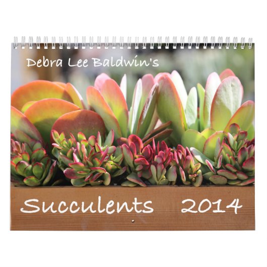 デブラリーBaldwin著Succulents 2014のカレンダー カレンダー (カバー)