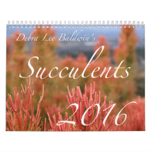 デブラリーBaldwin著Succulents 2016のカレンダー カレンダー