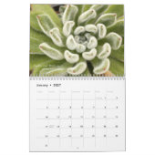 デブラリーBaldwin著Succulents 2016のカレンダー カレンダー (1月 2027)