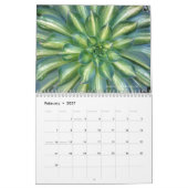 デブラリーBaldwin著Succulents 2016のカレンダー カレンダー (2月 2027)