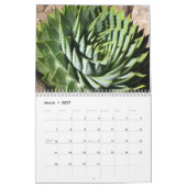 デブラ・リー・ボールドウィン12-moによる興味深い多肉植物。 カレンダー (3月 2027)