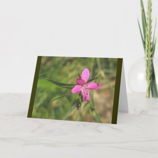 デプットフォードピンクノートカード シーズンカード (正面)