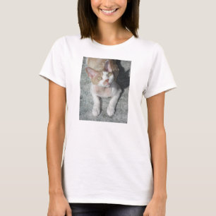 デボンレックスかわいい Tシャツ
