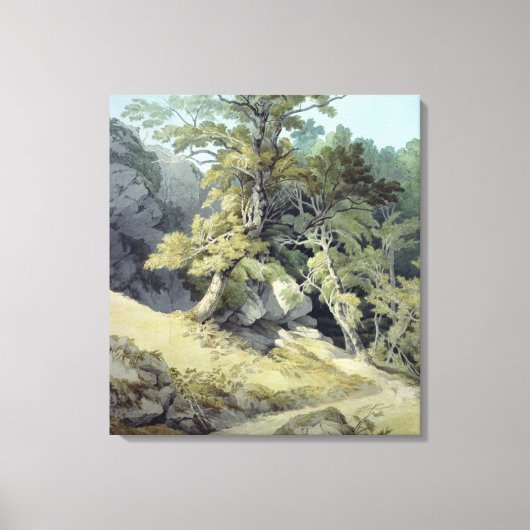 デボン・カノテイン キャンバスプリント (正面)