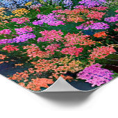 「デボン・ハーバー夢の風景」 – イギリスの船崎 ポスター (角)