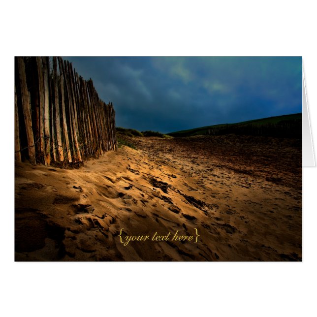 デボン・バンタムビーチ (正面横)