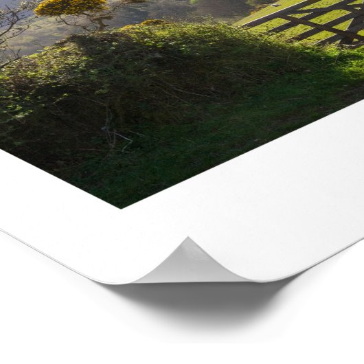 デボン ポスター (角)