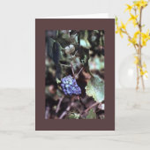 デマのメッセージカード カード (黄色い花)