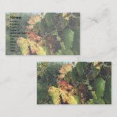 デマ、タスカニー、イタリア 名刺 (正面/裏面)