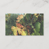 デマ、タスカニー、イタリア 名刺 (裏面)