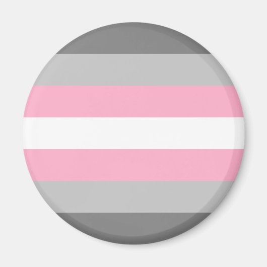 デミガールフラグ LGBT マグネット (正面)
