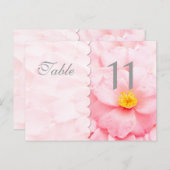 デムアテーブル番号はがき ポストカード (正面/裏面)