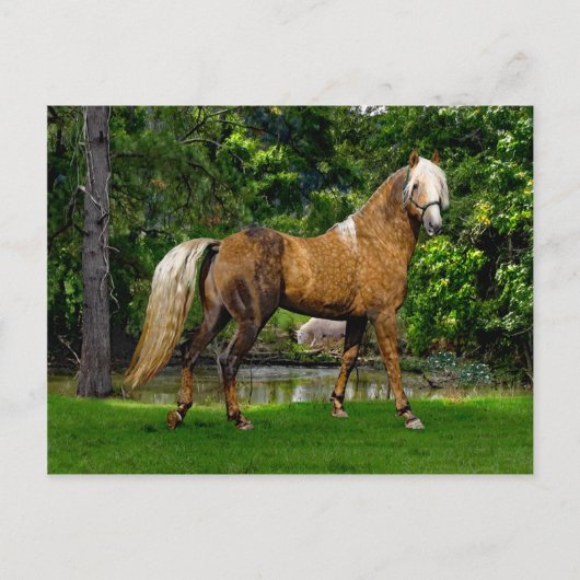 「デメルザ」はがき ポストカード (正面)