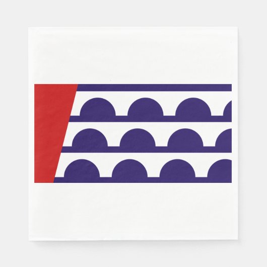 デモイン国旗（アイオワ市） スタンダードランチョンナプキン (正面)