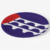 デモイン国旗(アイオワ市) ペーパープレート (アングル)