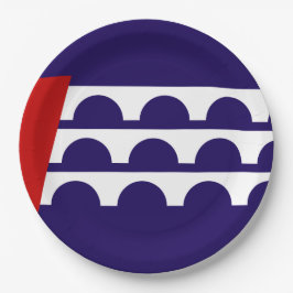 デモイン国旗（アイオワ市） ペーパープレート