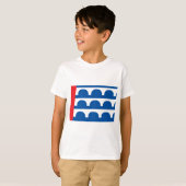 デモイン市旗 Tシャツ (正面フル)