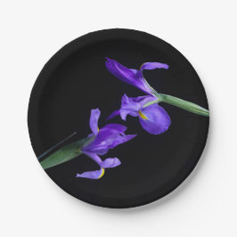 デュアルアイリスラウンド紙プレート ペーパープレート