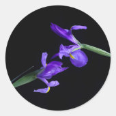 デュアルアイリス写真の丸シール ラウンドシール (正面)