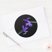 デュアルアイリス写真の丸シール ラウンドシール (封筒)