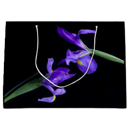 デュアルアイリス抱き枕 ラージペーパーバッグ