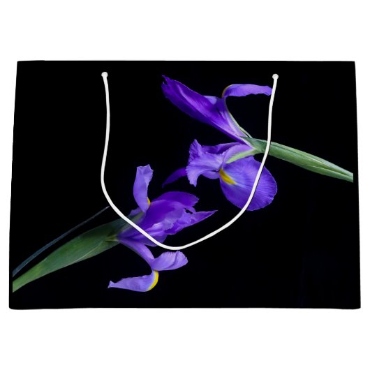 デュアルアイリス抱き枕 ラージペーパーバッグ (正面)