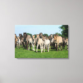 デュエルメンポニーの野生の群れ敵。 キャンバスプリント