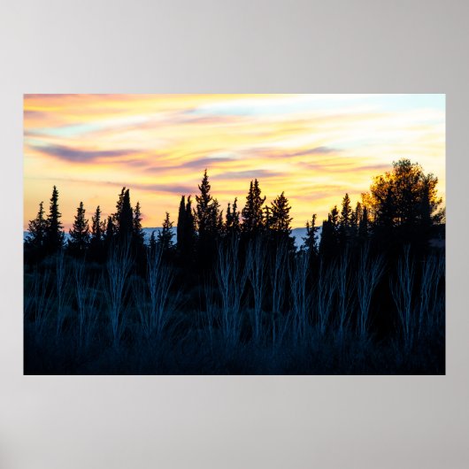 デュスクの木々のシルエット ポスター (正面)