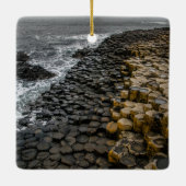 デュスクアットジャイアントズコーズウェイ セラミックオーナメント (裏面)