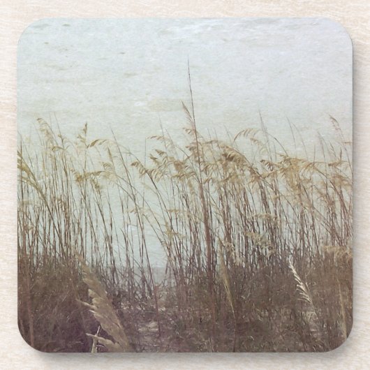 デュネス2世を通じて コースター (正面)