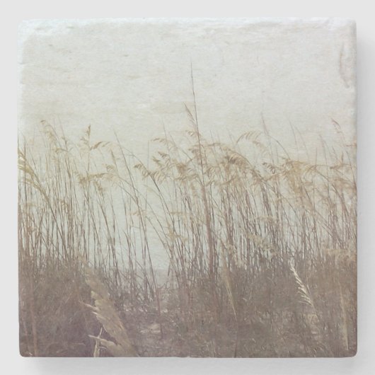 デュネス2世を通じて ストーンコースター (正面)