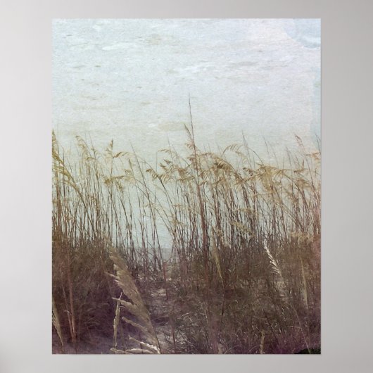 デュネス2世を通じて ポスター (正面)