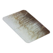 デュネス2世を通じて マグネット (右側)