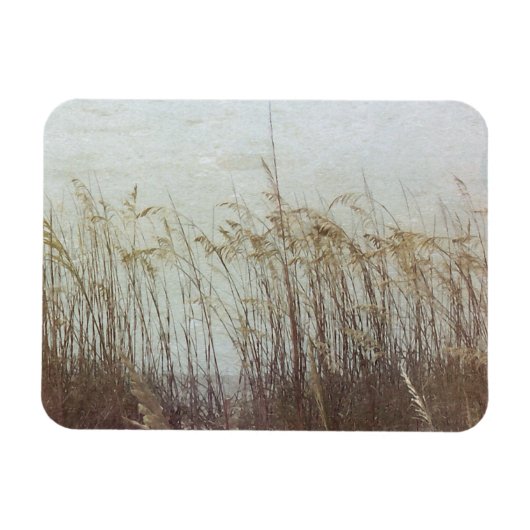 デュネス2世を通じて マグネット (横)