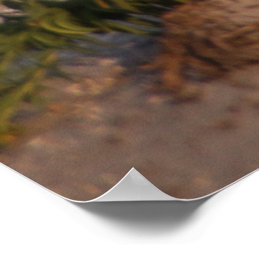 デュネス ポスター (角)