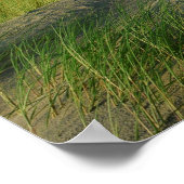 デュネンアンデアノルドシー ポスター (角)