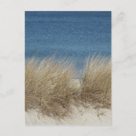 デュネン ポストカード