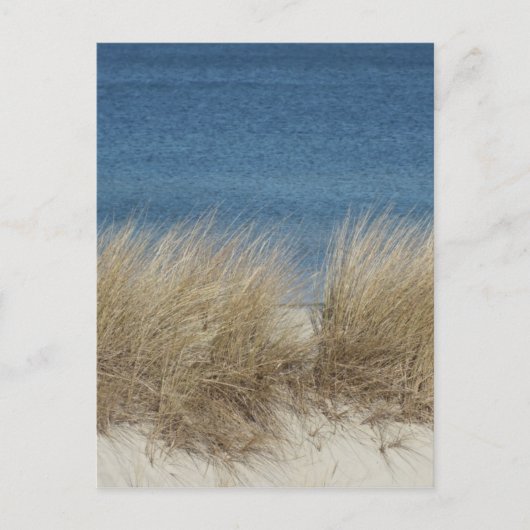 デュネン ポストカード (正面)