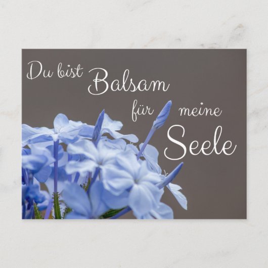 デュビストバルサムフュルメインゼーレ！ ポストカード (正面)