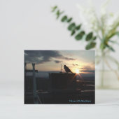 デュボイス書庫のはがきの《鳥》ハヤブサ ポストカード (スタンド正面)