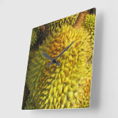 デュリアンフルーツ スクエア壁時計 (傾斜)