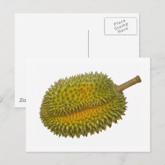 デュリアン ポストカード (正面/裏面)