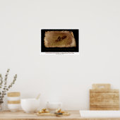 デュークカハナモクサーフィン15歳ワイキキ ポスター (キッチン)